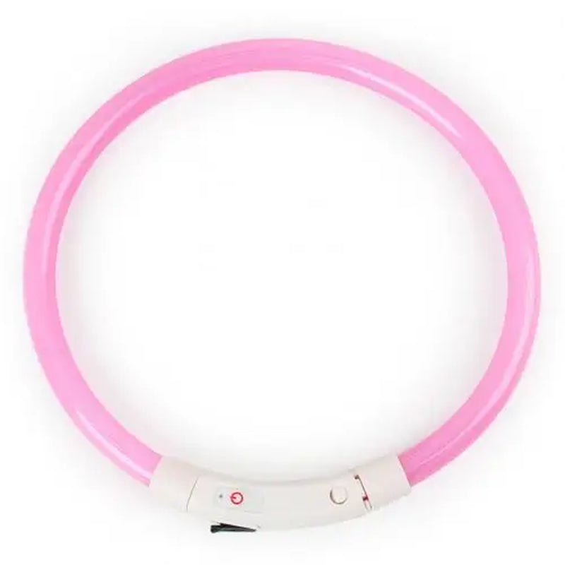 Rechargeable LED Glow Dog Collars - USB Charging Night Safety Lights for Small, Medium, and Large Dogs