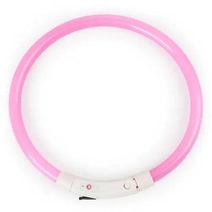 Rechargeable LED Glow Dog Collars - USB Charging Night Safety Lights for Small, Medium, and Large Dogs