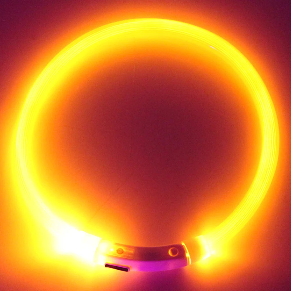 Rechargeable LED Glow Dog Collars - USB Charging Night Safety Lights for Small, Medium, and Large Dogs