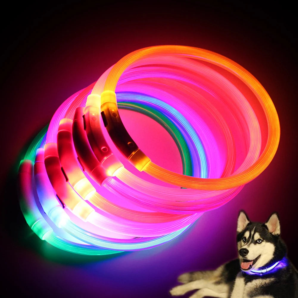 Rechargeable LED Glow Dog Collars - USB Charging Night Safety Lights for Small, Medium, and Large Dogs