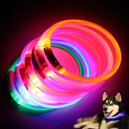 Rechargeable LED Glow Dog Collars - USB Charging Night Safety Lights for Small, Medium, and Large Dogs